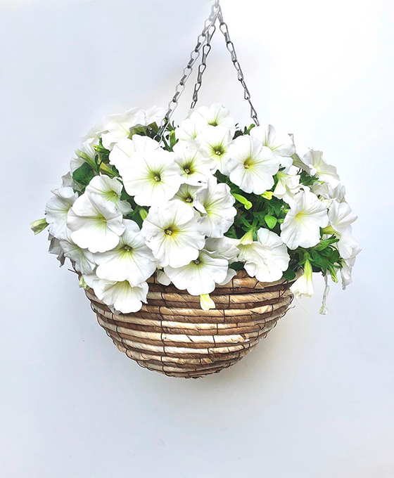 Arreglo Flores en Cesta Cestas de Flores en Almería